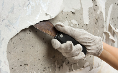 Wallpaper Removal & Application Efficient removal of old wallpaper and expert application of new designs, refreshing your walls.